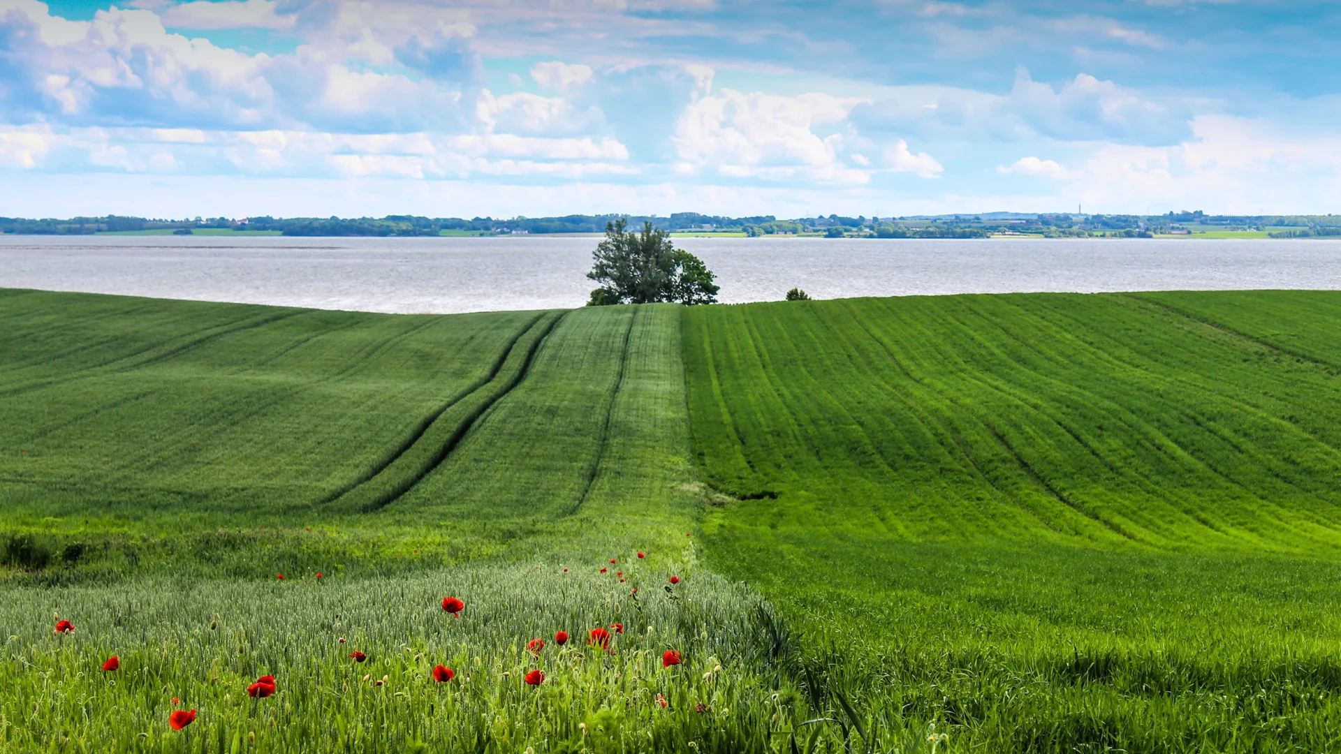 horsens-bymidte