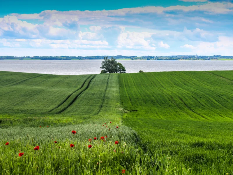 Horsens bymidte